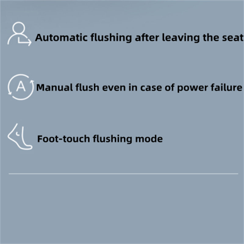 CDCOO Elongated Toilet Seat Bidet Wayfair